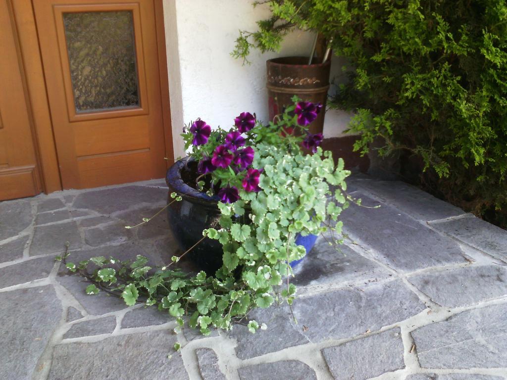 Appartements Zankl Kotschach-Mauthen Exterior foto